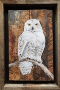 Ron Gladish - Snowy Owl