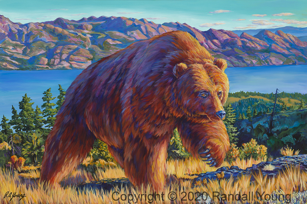 Randall Young - Boucherie Grizzly