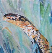 Christine Buchler -  Snake in the Grass