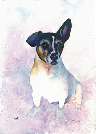 Donna Goett  - Gabito