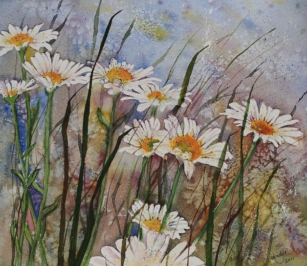 Wendy Provins - Daisy Dreams