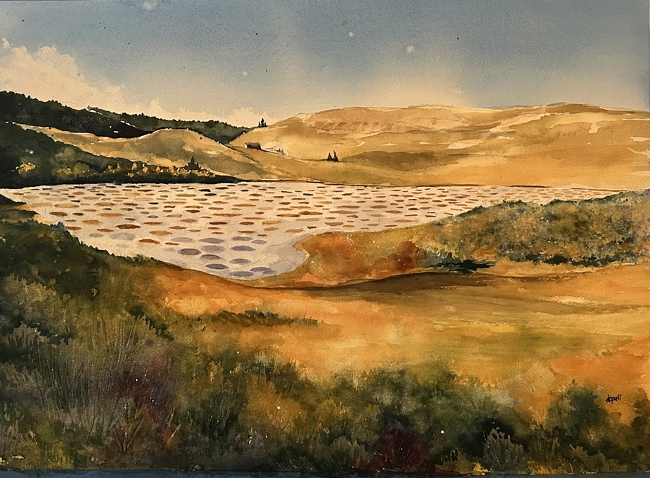 Donna Goett - Spotted Lake (Kllilx'w)