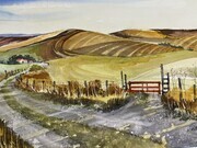 Dale Matthews - Prairie Harvest