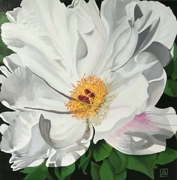 Jennifer Bilyk - White Wood Anemone