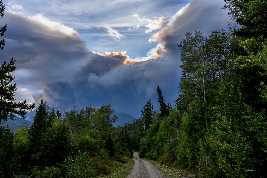 Lyle Smuin - On a Forest Road