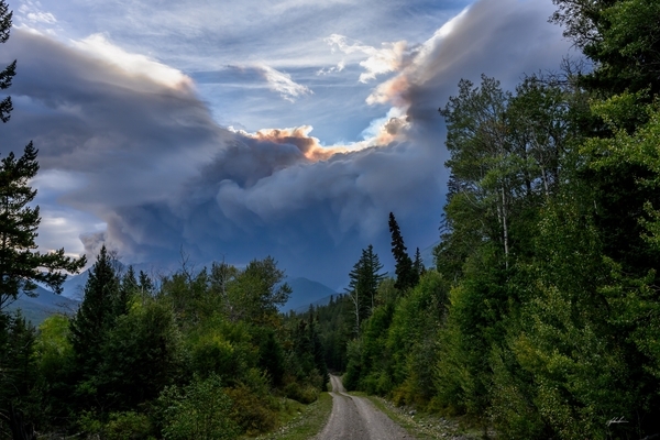 Lyle Smuin - On a Forest Road