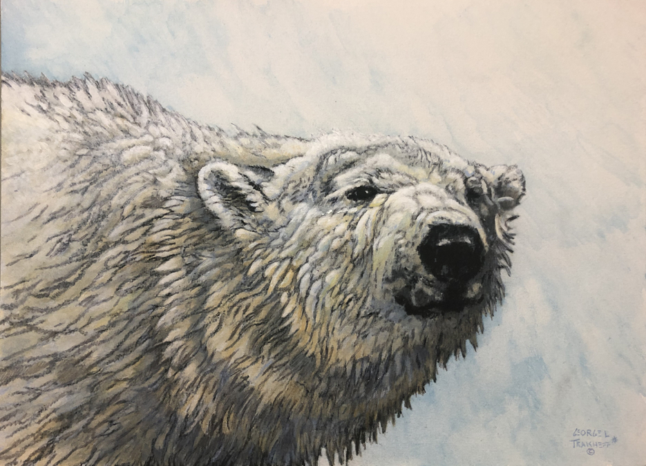 George Traicheff - Polar Stare