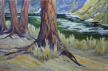 Rod Gould - Big Pines Along the Kettle