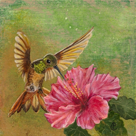 Claudia Punter - Hummingbird and Hibiscus