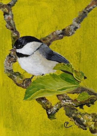 Claudia Punter - Chickadee in Apple Tree